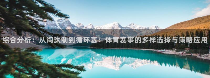 xcsport体育登录：综合分析：从淘汰制到循环赛：体育赛事的多样选择与策略应用